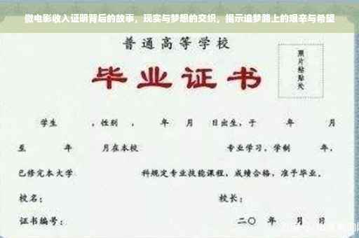 微电影收入证明背后的故事，现实与梦想的交织，揭示追梦路上的艰辛与希望