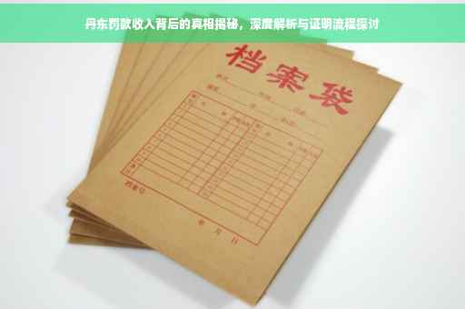 丹东罚款收入背后的真相揭秘，深度解析与证明流程探讨