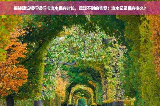 揭秘建设银行银行卡流水保存时长，意想不到的答案！流水记录保存多久？