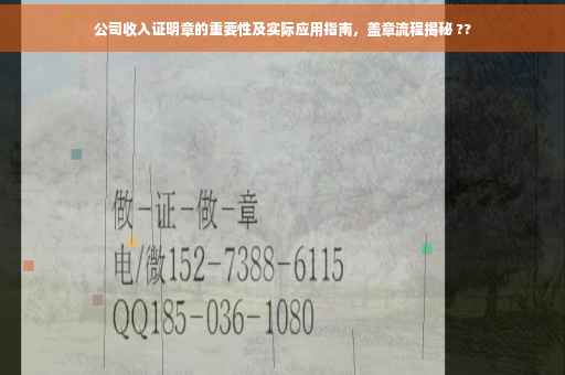 公司收入证明章的重要性及实际应用指南，盖章流程揭秘 ??