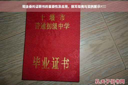司法委托证明书的重要性及应用，撰写指南与实例展示?⚡️