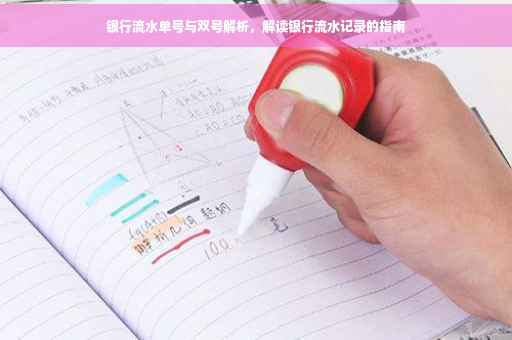 银行流水单号与双号解析，解读银行流水记录的指南