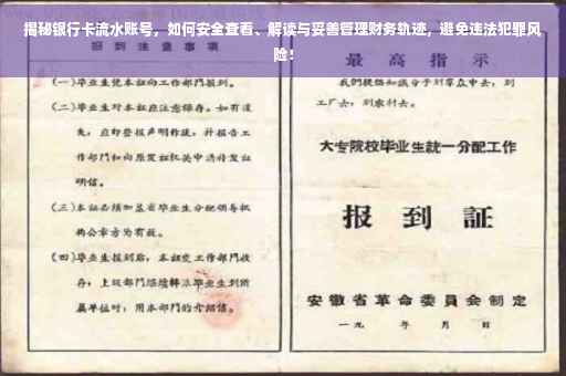 揭秘银行卡流水账号，如何安全查看、解读与妥善管理财务轨迹，避免违法犯罪风险！