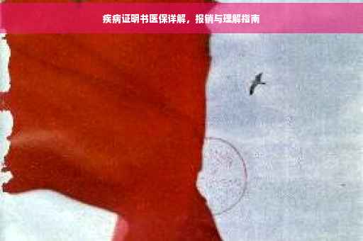 疾病证明书医保详解，报销与理解指南