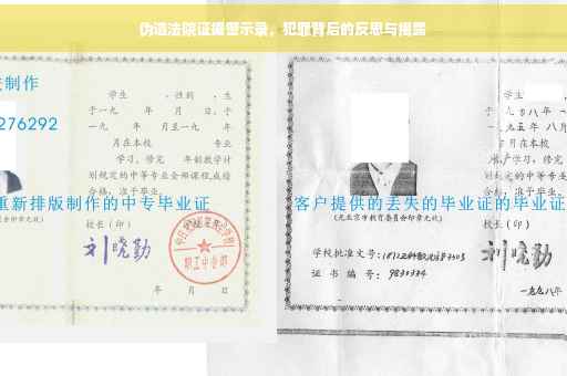 伪造法院证据警示录，犯罪背后的反思与揭露