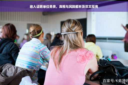 收入证明单位免责，真相与风险解析及范文指南