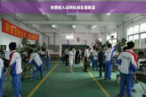 党费收入证明标准全面解读
