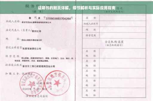 证明书的附页详解，细节解析与实际应用指南