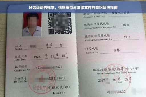 兄弟证明书样本，情感纽带与法律文件的交织写法指南