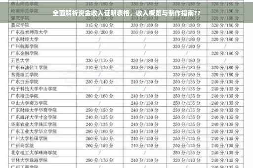 全面解析资金收入证明表格，收入概览与制作指南??