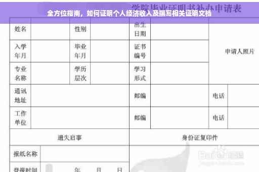 全方位指南，如何证明个人经济收入及撰写相关证明文档