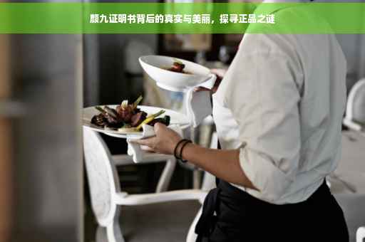 颜九证明书背后的真实与美丽，探寻正品之谜
