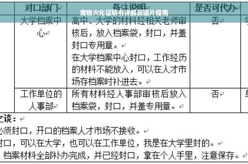 宠物火化证明书详解及图片指南