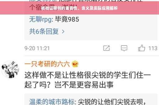 核验证明书的重要性、含义及实际应用解析