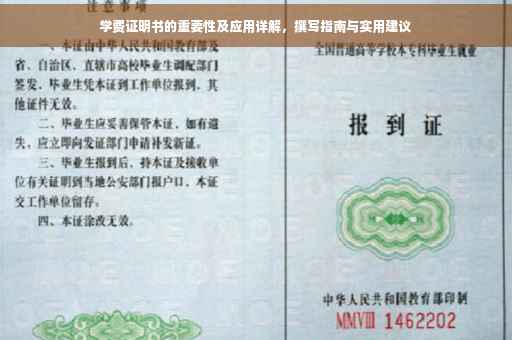 学费证明书的重要性及应用详解，撰写指南与实用建议
