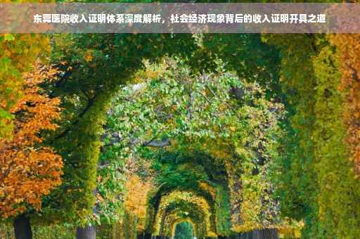 东莞医院收入证明体系深度解析，社会经济现象背后的收入证明开具之道