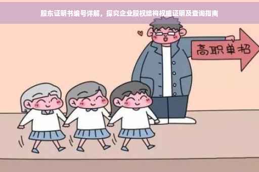 股东证明书编号详解，探究企业股权结构权威证明及查询指南