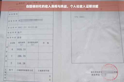 自媒体时代的收入真相与挑战，个人社收入证明详解