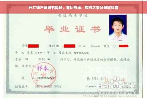 死亡账户证明书揭秘，背后故事、应对之策及获取指南