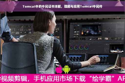 Tomcat中的中间证书详解，理解与应用Tomcat中间件