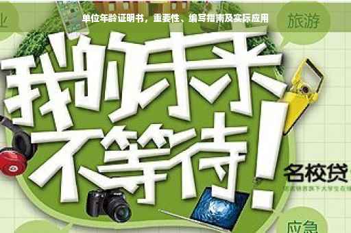 单位年龄证明书，重要性、编写指南及实际应用