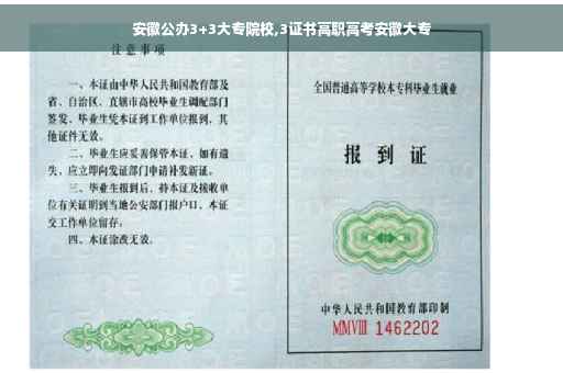 安徽公办3+3大专院校,3证书高职高考安徽大专