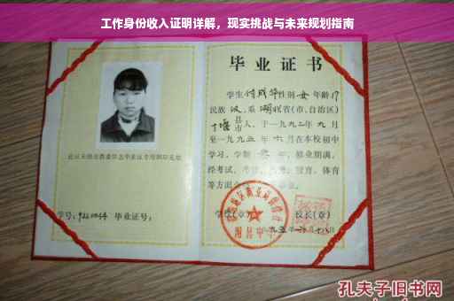 工作身份收入证明详解，现实挑战与未来规划指南