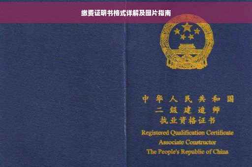 缴费证明书格式详解及图片指南 缴费证明书格式详解及图片指南