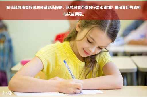 解读税务稽查权限与金融隐私保护，税务局能否查银行流水明细？揭秘背后的真相与权益保障。