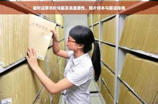 量刑证明书的详解及其重要性，图片样本与解读指南