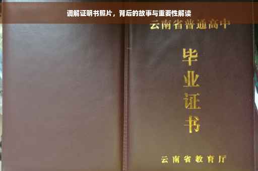 调解证明书照片，背后的故事与重要性解读