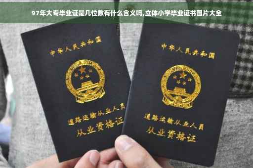 97年大专毕业证是几位数有什么含义吗,立体小学毕业证书图片大全