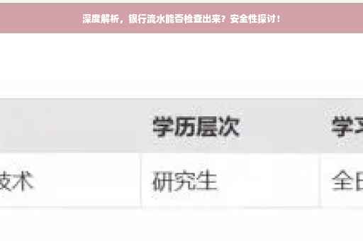 深度解析，银行流水能否检查出来？安全性探讨！