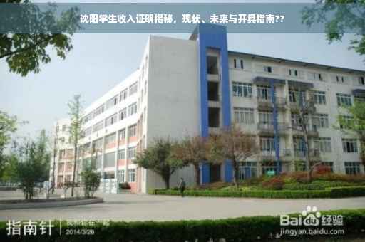 沈阳学生收入证明揭秘，现状、未来与开具指南??