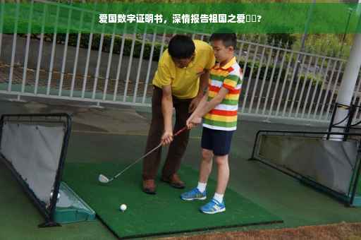 爱国数字证明书，深情报告祖国之爱❤️?