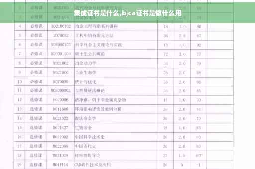 集成证书是什么,bjca证书是做什么用
