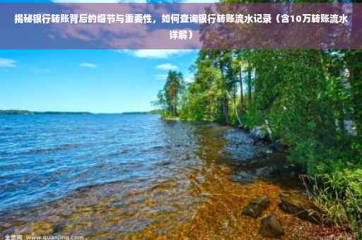 揭秘银行转账背后的细节与重要性，如何查询银行转账流水记录（含10万转账流水详解）