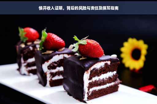 慎开收入证明，背后的风险与责任及撰写指南