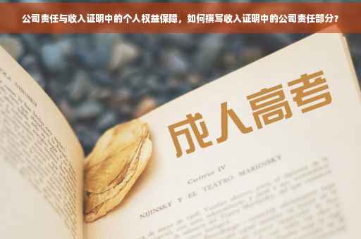 公司责任与收入证明中的个人权益保障，如何撰写收入证明中的公司责任部分？