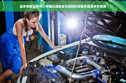 返乡核酸证明书，构建归途安全与信任的关键步骤及书写指南