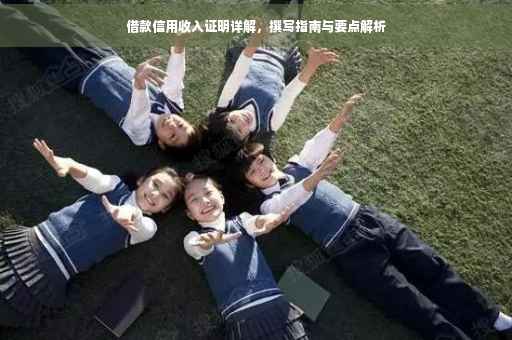 借款信用收入证明详解，撰写指南与要点解析