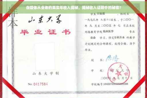 自媒体从业者的真实年收入揭秘，揭秘收入证明中的秘密?