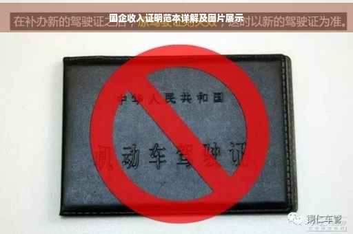 国企收入证明范本详解及图片展示