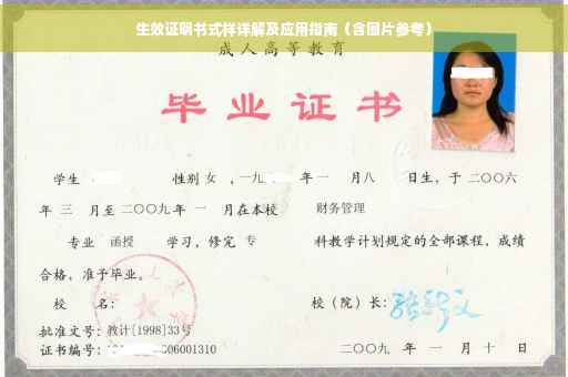 生效证明书式样详解及应用指南（含图片参考）