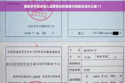 揭秘多开薪资收入证明背后的真相与风险及应对之策 ??