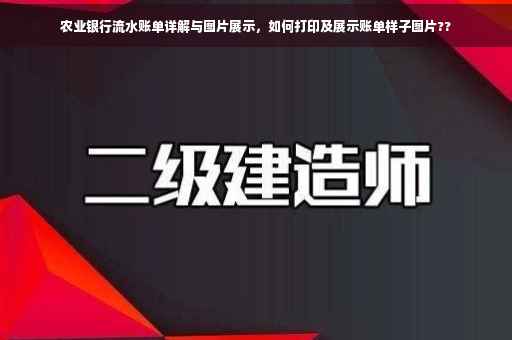 农业银行流水账单详解与图片展示，如何打印及展示账单样子图片??