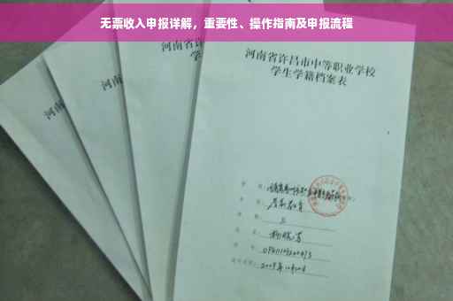 无票收入申报详解，重要性、操作指南及申报流程