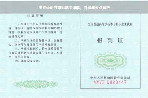 出资证明书审批制度详解，流程与要点解析
