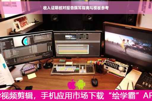 收入证明核对报告撰写指南与模板参考
