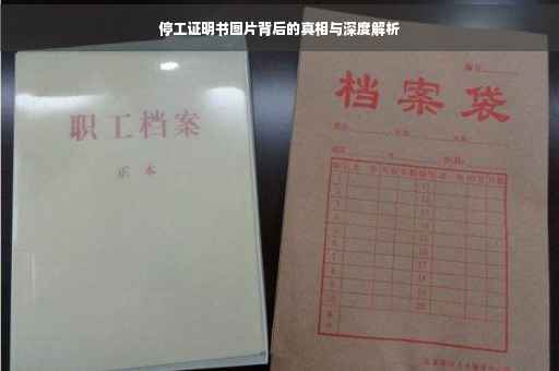 停工证明书图片背后的真相与深度解析
